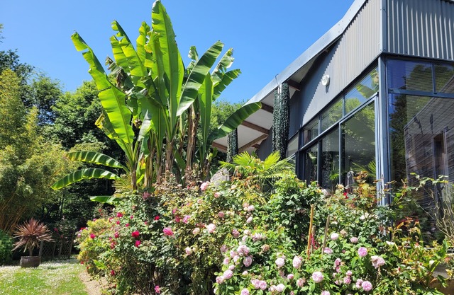 BANANIERS. Air-conditioned house on one level, SPA in garden not overlooked 5 *.