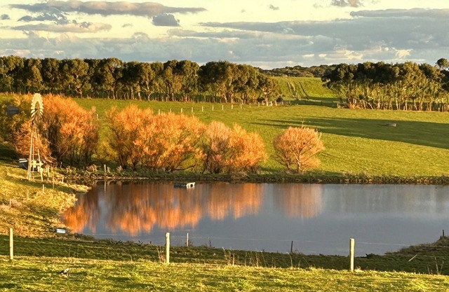 Barn Loft with sweeping ocean and farm views, near Port Campbell and 12 Apostles