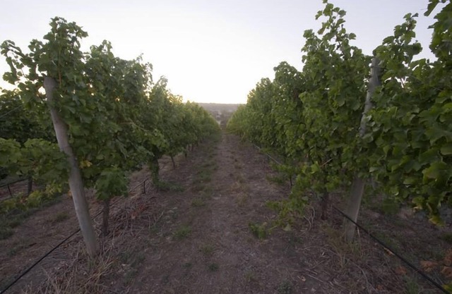 Barristers Block Vigneron Villa