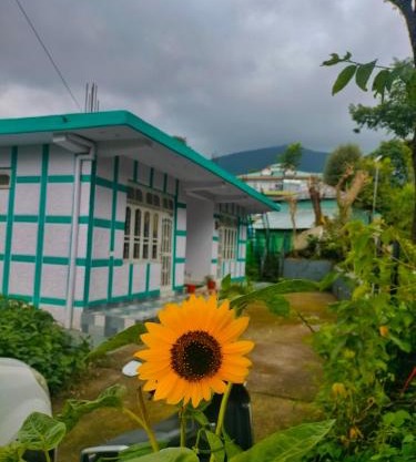 Baseraa - Bir's Hidden Comfort