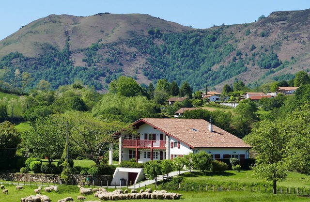 BaskoParadis I Eco Gite I Bed 160 I Terrace I Panoramic view I Garden I Donkeys