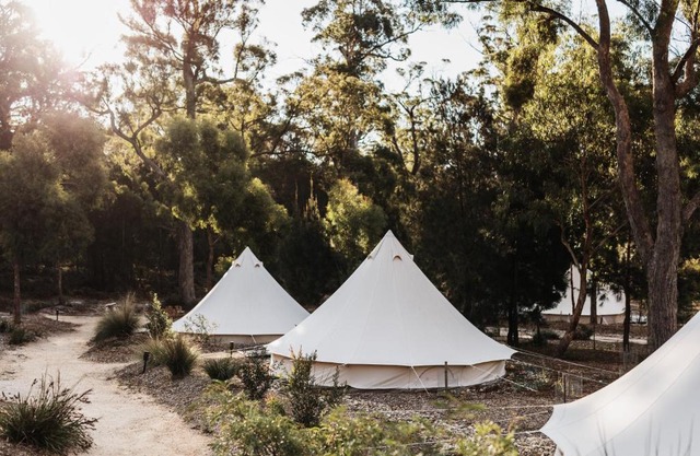 Bay of Fires Bush Retreat