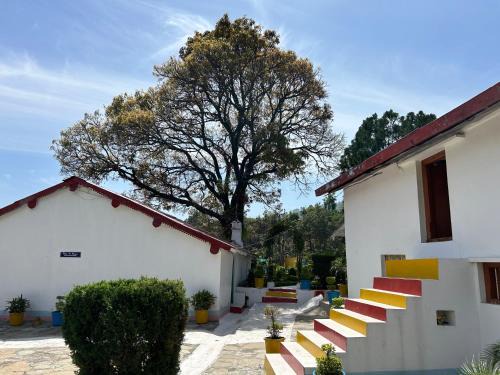 Bayleaf Cafe and Shivalik Homestay