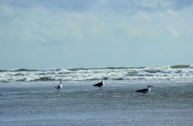 BE BIO Hotel be active