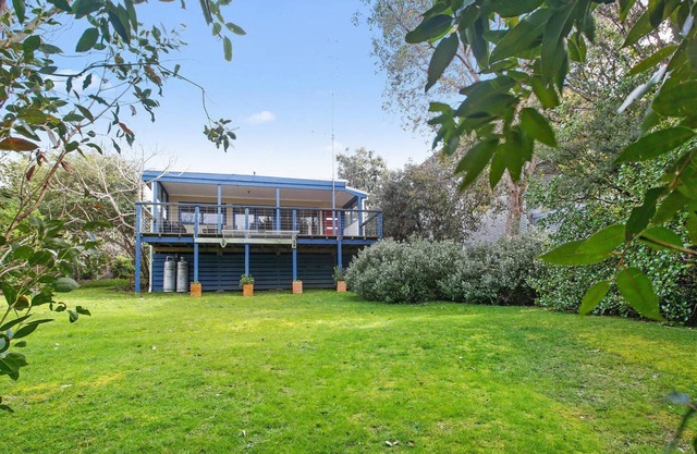 Beach Fig - Peace & Tranquility