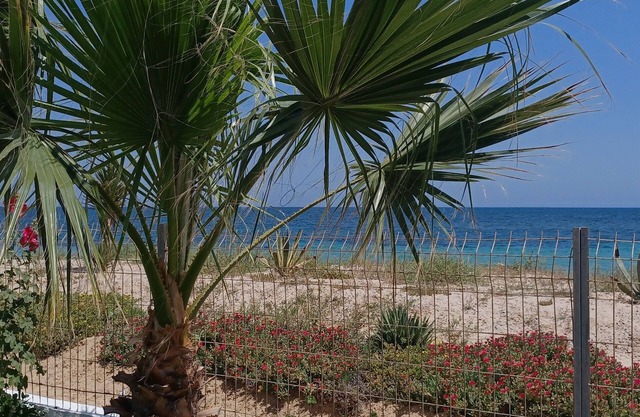 Beach Front Luxury Living Apartment