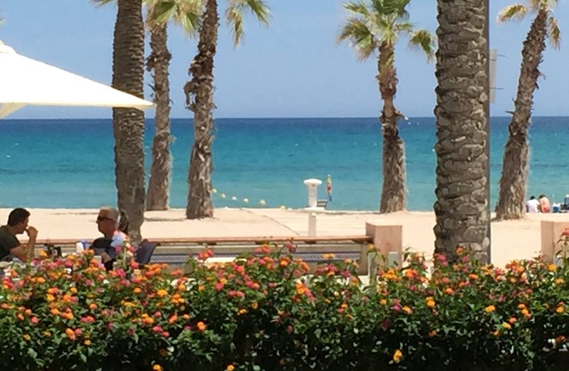 Beach of San Juan Alicante, suitable swimming pool, wifi, A. C and parking