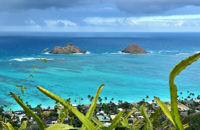 Beach Studio with private yard in Lanikai - 30 day Minimum Stay