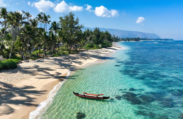 Beachfront Oasis on the North Shore of Oahu - Sleeps 6-8