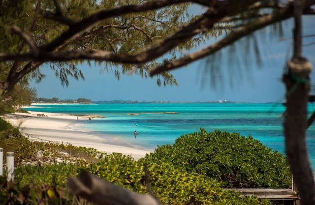 Beachfront White Palm Villa - Tar Bay