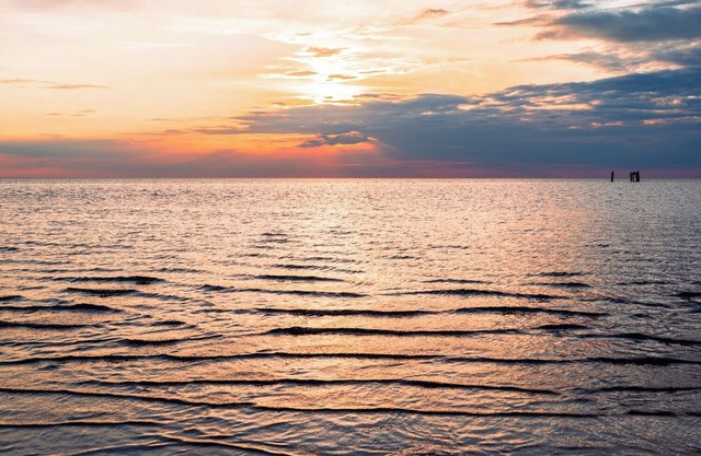 Beacon - close to the sea, family, dog, Netflix and Wii