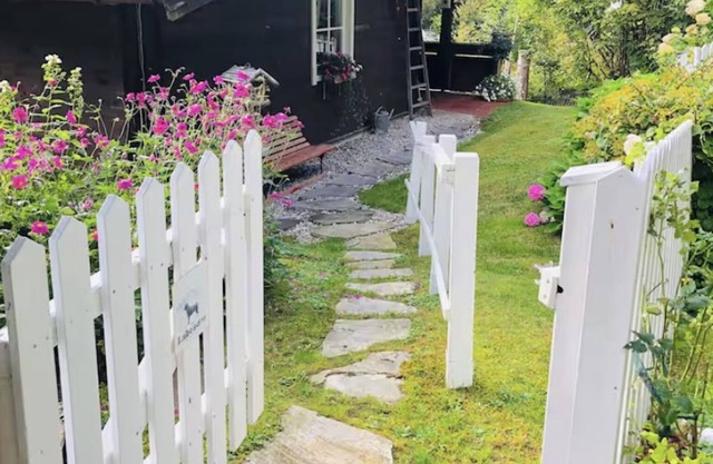Bear Creek Cottage: Iydillic cabin in the woods perfect for family & fur babies