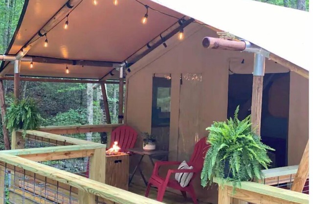 BEARADISE “Glamping Paradise”
