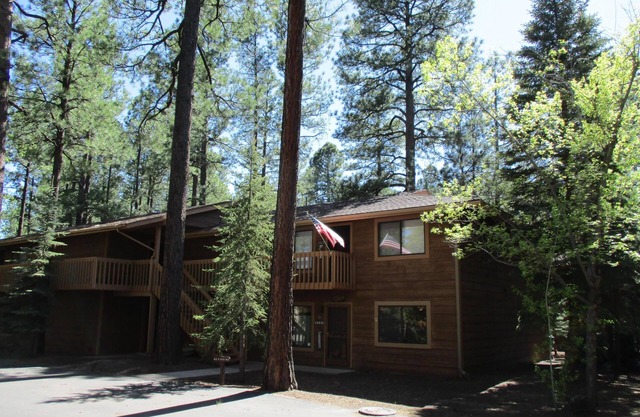 Beat the Heat at The Lazy Squirrel Retreat!