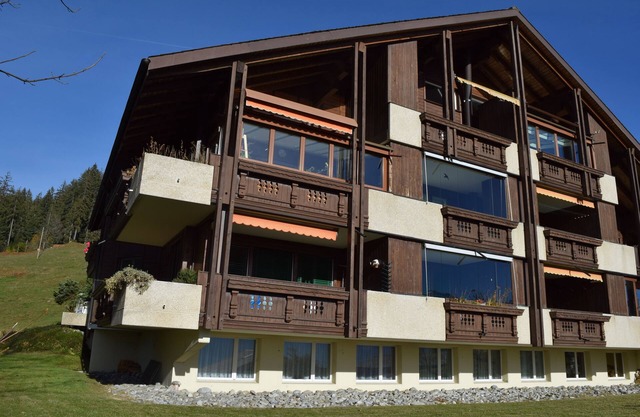 Beatenberg, large, quiet 1 room apartment Wi-Fi/WLAN, balcony, view