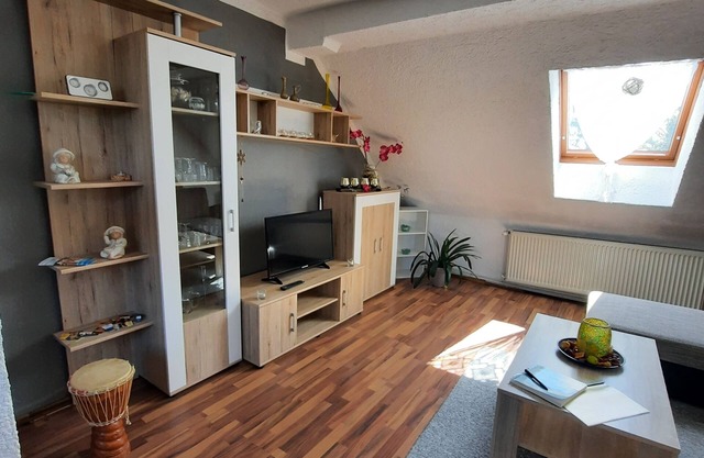 beautiful top floor apartment with view of the Elbe meadows