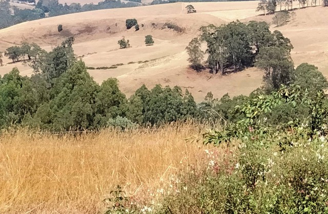 Beautiful 3 bedroom farmhouse in Narracan