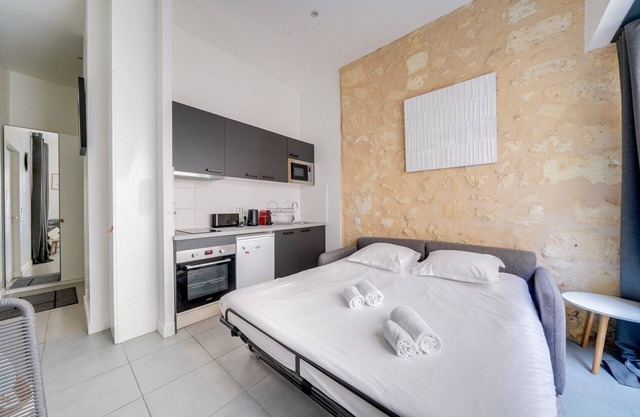 Beautiful apartment Bordeaux with private terrace