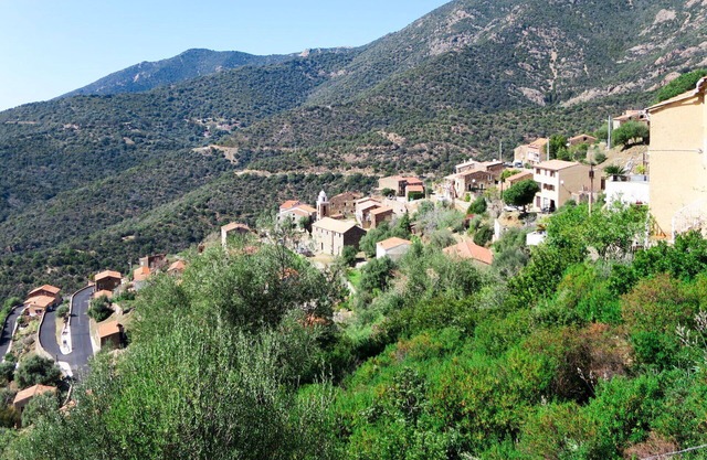 Beautiful apartment for 3 people with A/C, WIFI, TV, patio, pets allowed and panoramic view