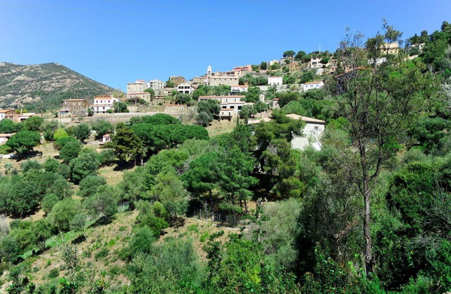 Beautiful apartment for 4 people with A/C, WIFI, TV, patio, pets allowed and panoramic view