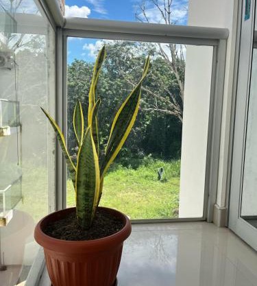 Beautiful Apartment in Tarapoto