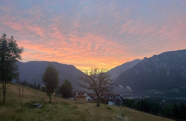 Beautiful, quiet vacation apartment at the Mariengestüt am Kreuzberg