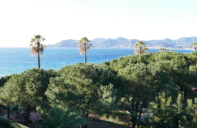 Beautiful bright apartment 2 rooms 40 m2 to 80 m from the beach, sea view