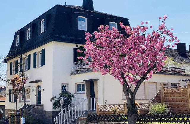 Beautiful bright vacation apartment "SunShine" centrally located in Geisenheim/Rheingau