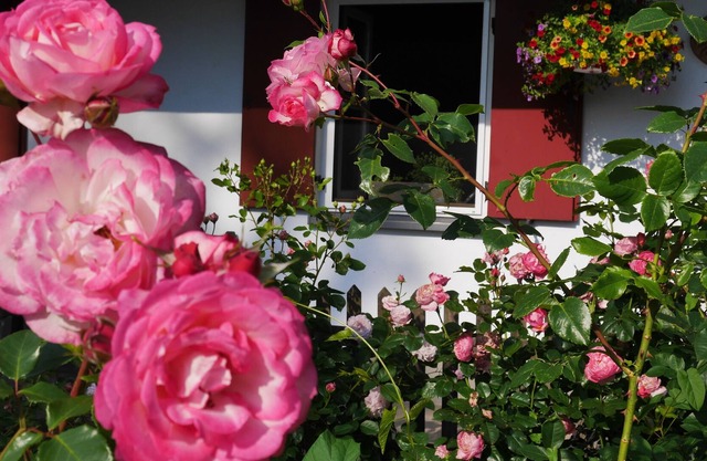 Beautiful country house with fireplace and garden between Munich and Allgäu