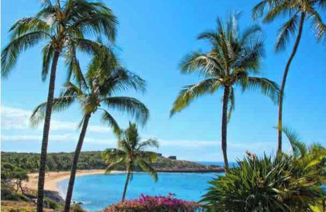 Beautiful House, Beaches , Surfing, Golf, WiFi