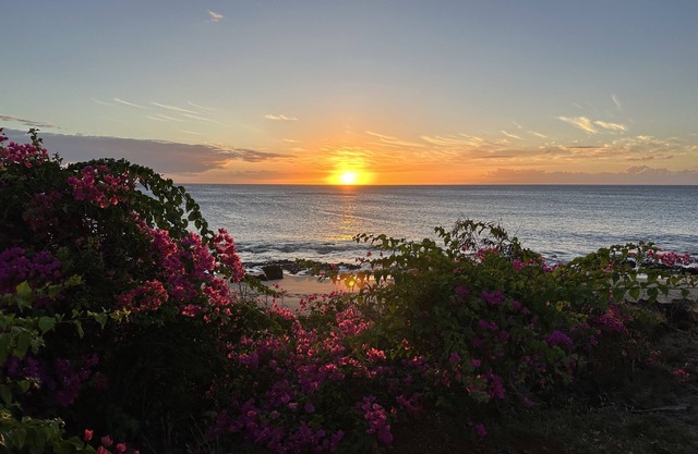 Beautiful Ocean-View unit with easy beach access. Ask about vehicle option.