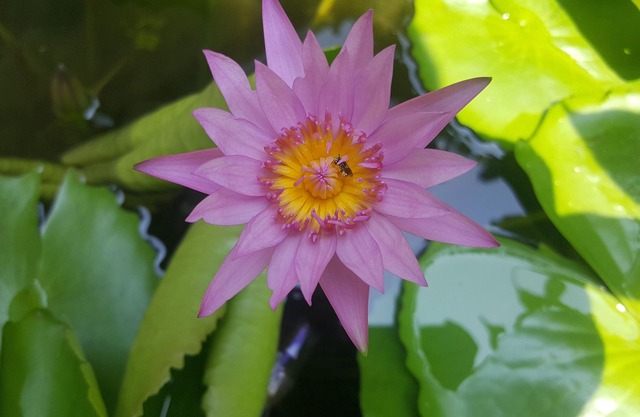 Beautiful private pool villa