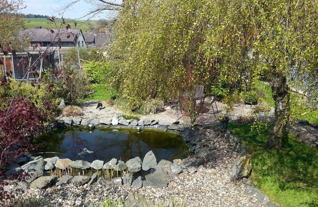 beautiful property with 2 cottages, sauna, forest edge, quiet location