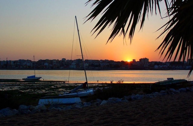 Beautiful 1-Bed Apartment in Aldeia de Paio Pires