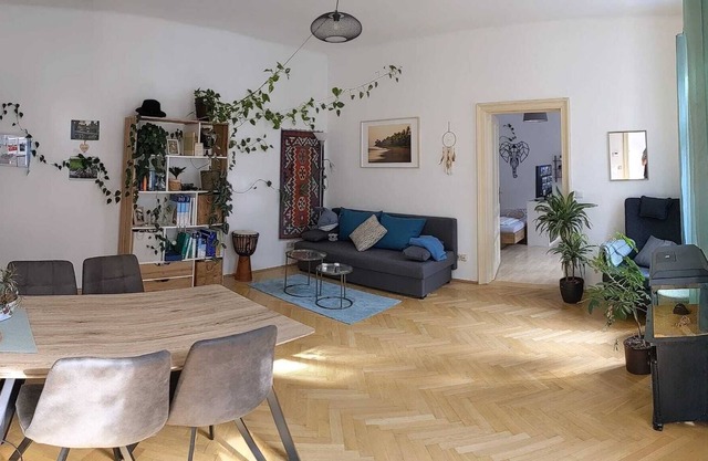 Beautiful Quite Flat in the City Centre of Vienna