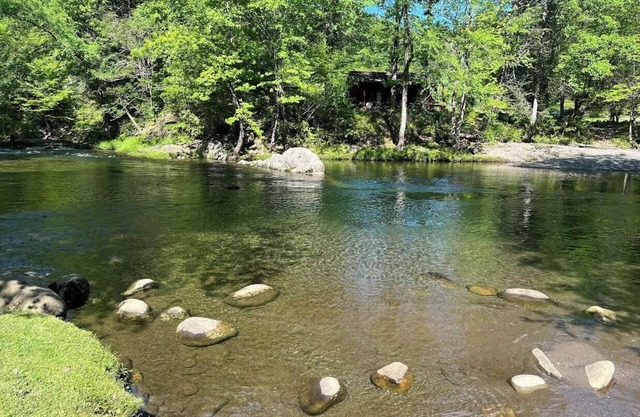 Beautiful riverside cabin, sleeps 18!