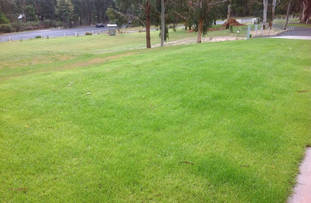 Beautiful setting in bushland