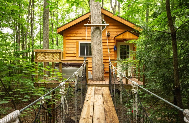 Beautiful tree house built amid Poplars, old White Oaks, and Red Maples.