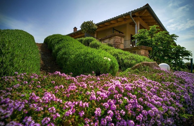 Beautiful vacation apartment on the edge of the Palatinate Mountains