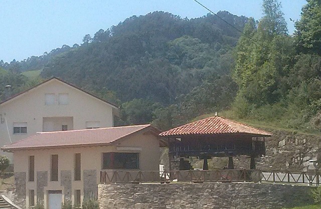 Beautiful views of the green nature from the inside Asturiana