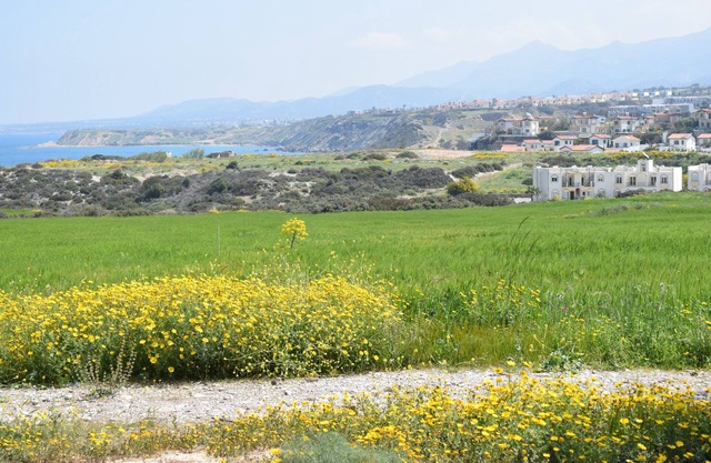 BEAUTIFUL VIEWS & PEACEFUL MODERN APARTMENT