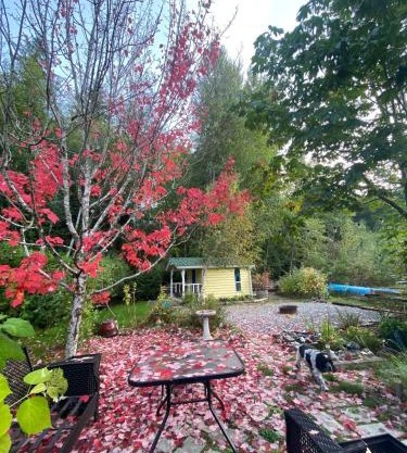 Beaver Lake Resort Site #36