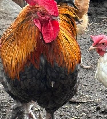 bei GRETA Wohnung 77