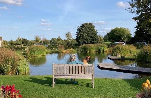 Bell Tent Glamping: 2 Tents (5m diameter)
