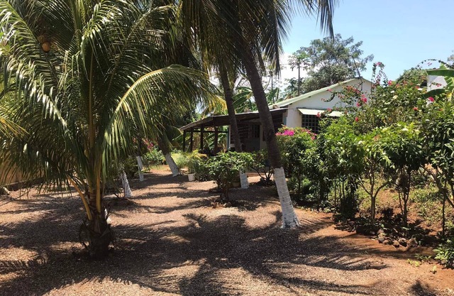 Bellevue under the coconut trees, Ambondrona, Nosy-be