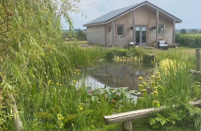 Bespoke Log Cabin in idyllic surroundings