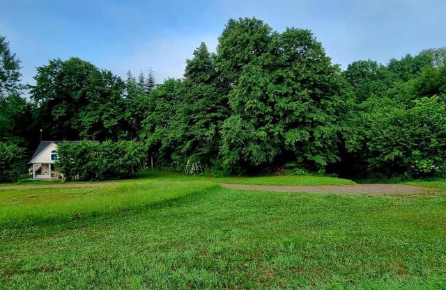 Biała chatka w lesie na Roztoczu
