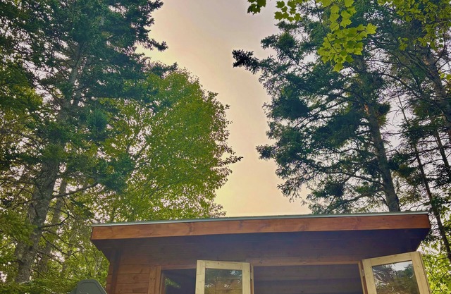 Big Leo’s River View Cabin