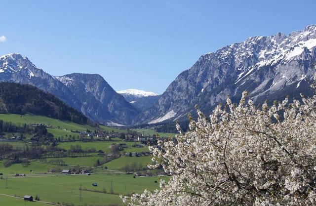 Bio-Bauernhof Greiml - apartment/apartment, shower or bath, WC, 3 bed.