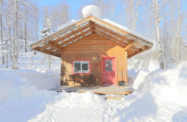 Birch Cabin